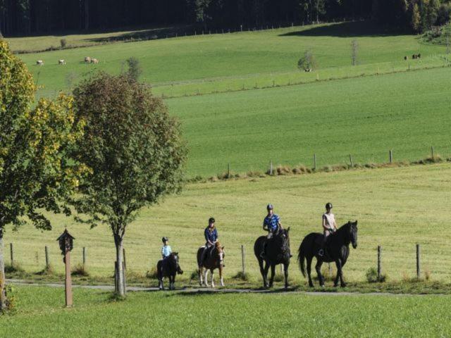 Bio-Bauernhof Samerhof Mariapfarr Luaran gambar